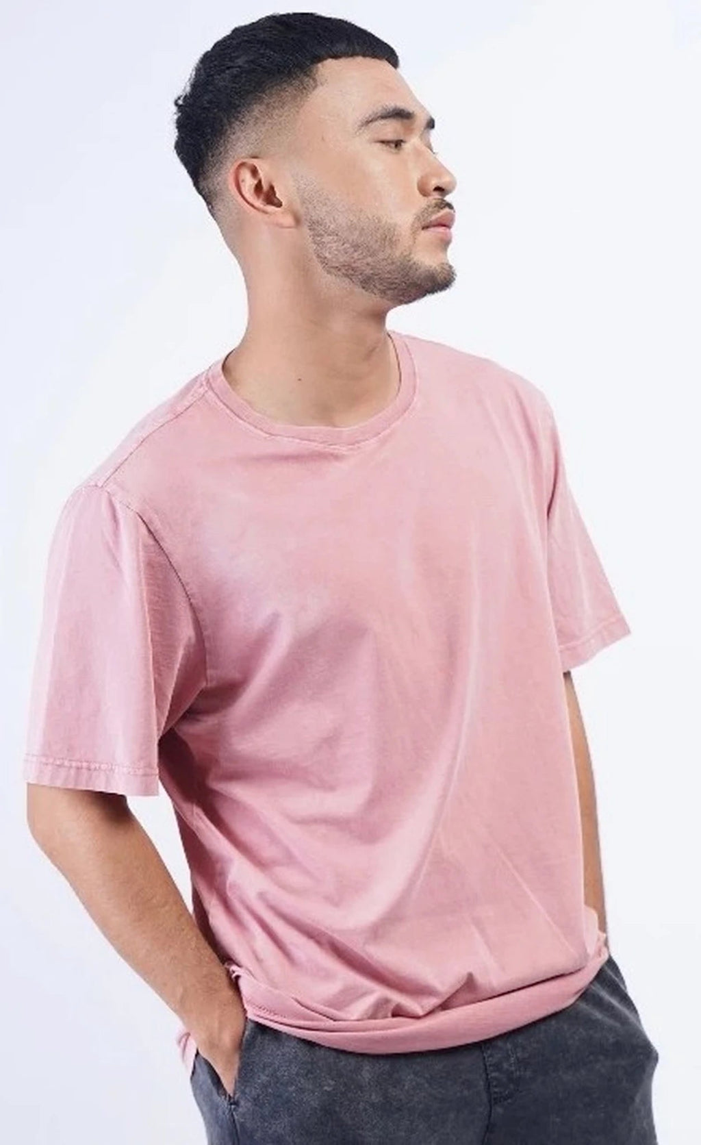 Reacher Paris T-shirt garment dyed Lila Heren